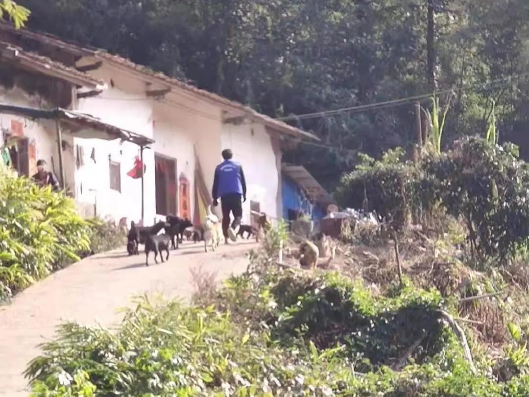 阳春房地一体项目纪实丨无悔青春多砥砺，，，最是奋斗感人心