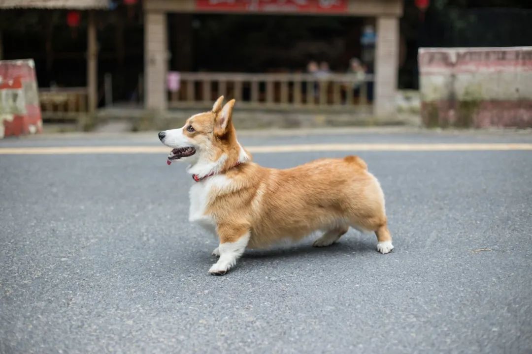 再见，，我的老朋侪
