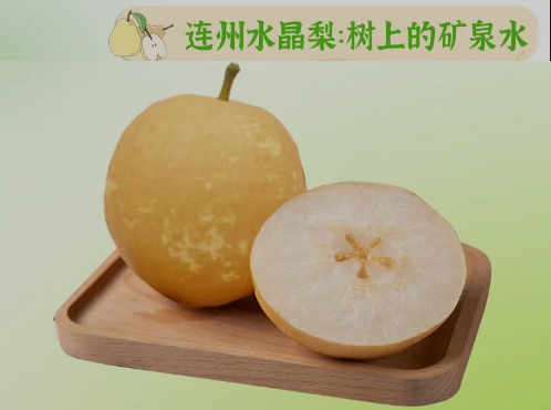 “桃李”酷暑，，清凉一夏