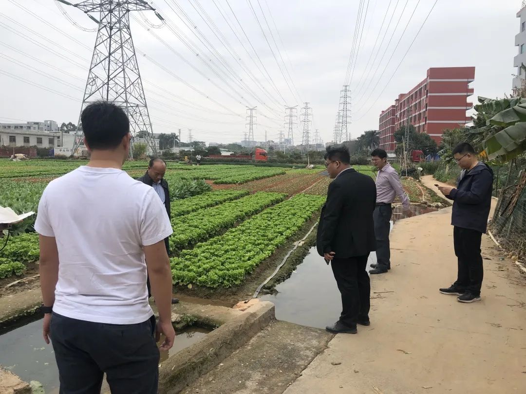 助力墟落振兴，，，，437ccm必赢国际一直在起劲！