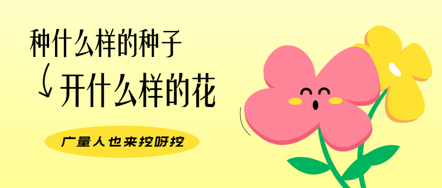 量圈儿NO.104丨437ccm必赢国际人的小小花园，，挖到宝了！