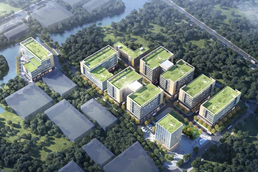 项目资讯 | 东莞旧改新政首宗 437ccm必赢国际集团再造标杆