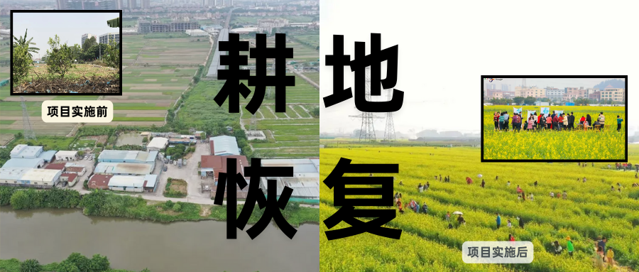 耕地；；び刖蒙す踩凇甘泻窠终蛩谏缜读继锵钅扛鼗指从氤窍缛诤系牧⒁焓导