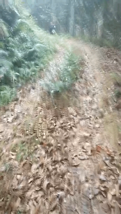 阳春房地一体项目纪实丨无悔青春多砥砺，，最是奋斗感人心-437ccm必赢国际控股集团