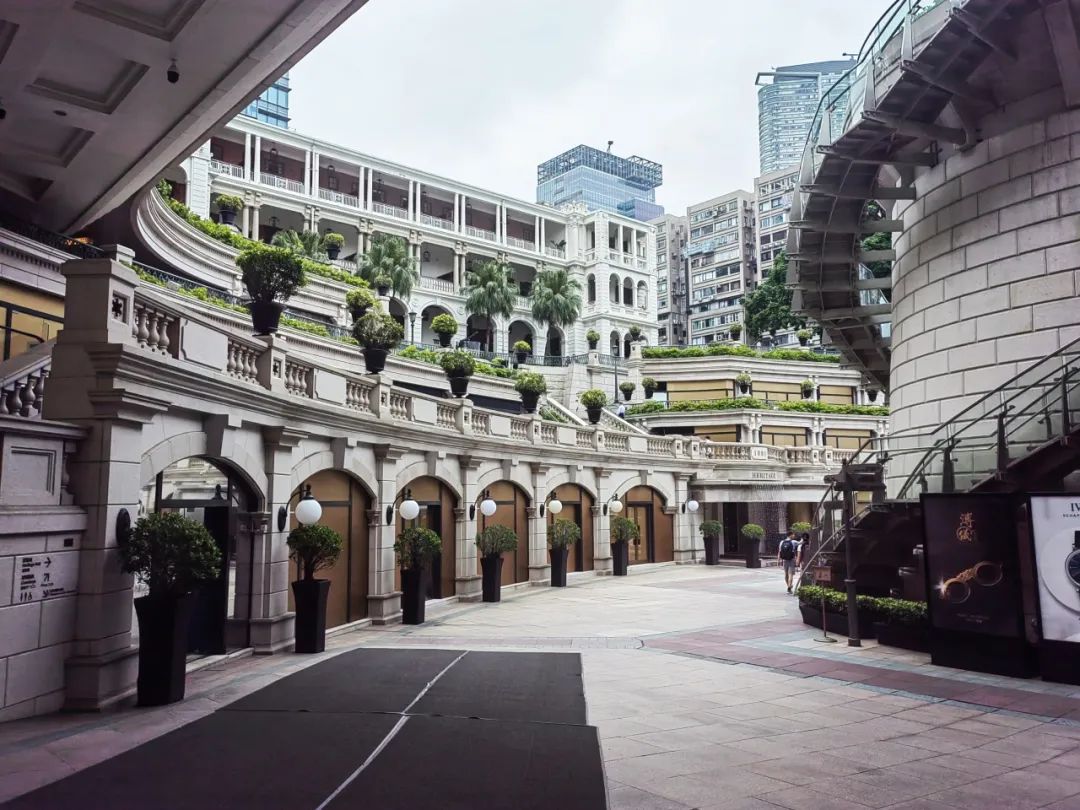 员工随笔丨437ccm必赢国际妄想人香港游学记-437ccm必赢国际控股集团
